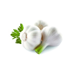 Ail frais biologique naturel en gros, nouvelle récolte, prix attractif - Product Image 2