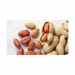 Máquina descascaradora de cacahuetes multifunción eléctrica comercial Peeling y descascarillado Cacahuetes procesados Cacahuetes crudos - Product Image 1