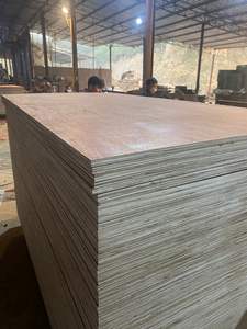 Bintangor/Okume/Superficie de eucalipto Madera contrachapada comercial Núcleo de madera dura Estilo de diseño moderno 1 año de garantía Uso en apartamento Vietnam - Product Image 3