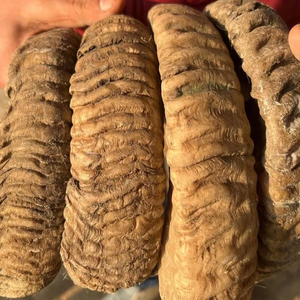 จานมีดฮอร์นขนแกะสีขาวธรรมชาติขนาดใหญ่และทำด้วยมือ - Product Image 2