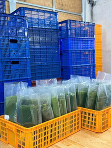 FEUILLES DE BANANE VERTES ET NATURELLES/USAGE TRADITIONNEL/PREMIUM VALEUR/FABRIQUÉ AU VIETNAM - Product Image 6