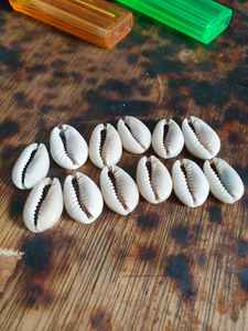 500 g/bolsa de cuentas de concha ovalada Natural blanca sin agujeros encanto cauri Conch cuentas espaciadoras sueltas para fabricación de joyería pulsera DIY - Product Image 2