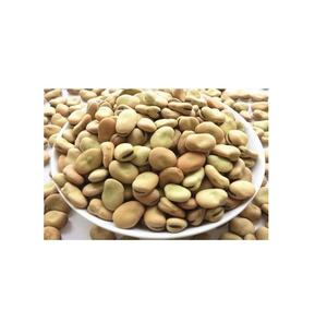 Fèves sèches bio de qualité supérieure 30kg à bas prix pour les cuisiniers à domicile et les amateurs de cuisine - Product Image 4