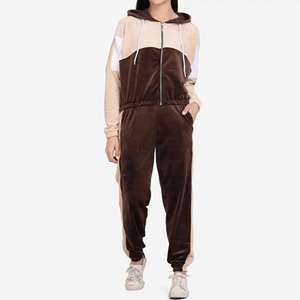 Ensemble de survêtements en velours pour femmes, sweat à capuche et pantalon de jogging personnalisés deux pièces, vêtements de sport décontractés pour un style de vie actif, vente en gros - Product Image 6