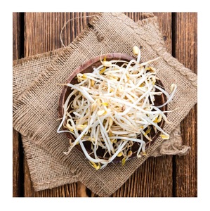 Germes de soja blanchis et congelés pour une utilisation toute l'année - Product Image 1