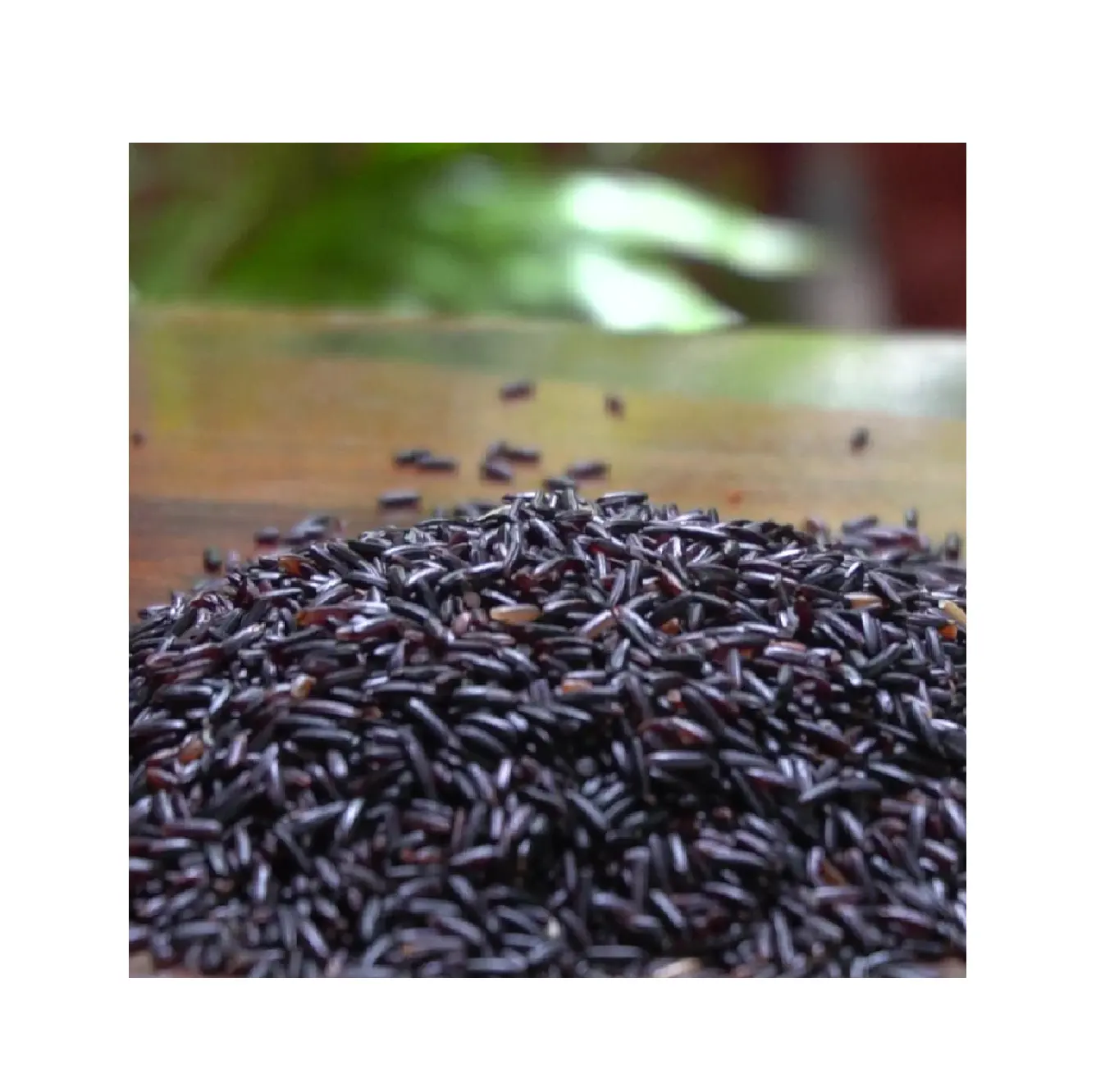 Herblink Venta al por mayor Extracto de planta de antocianidinas a granel Extracto de arroz negro 25% polvo de antocianina