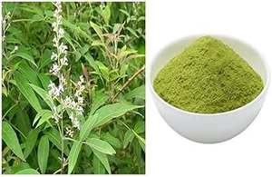 Polvo de Hoja de Nirgundi Silvestre, Extracto Herbal, Grado Alimenticio, Extraído con Solvente, Colección 1, Empaquetado en Tambor y Contenedor de Plástico - Product Image 3