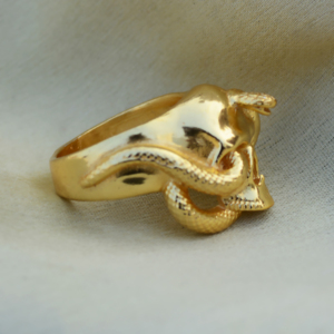 Anillos Góticos de Calavera y Serpiente, Anillos de Latón Chapados en Oro de 18k, Anillos Punk Biker al por Mayor para Hombre - Product Image 3