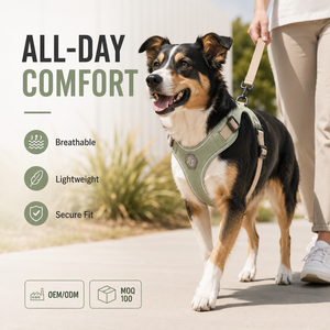 Imbracatura <span class=keywords><strong>Casual</strong></span> Leggera per Animali Domestici Sage, Imbottitura in Rete Ventilata, Anello a D Rinforzato, Logo Personalizzabile, Adatta per Tutte le Stagioni - Product Image 3