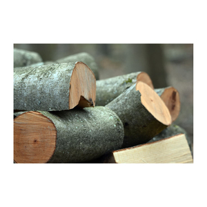 68. Best Product - Beech <b>Wood</b> Construction - Round <b>Wood</b> <b>Logs</b> for Sale - Beech Sawn <b>Wood</b> Lumber Export - Product Image 6