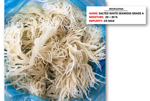 Sea Moss Eucheuma Cottonii Seaweed Style Fabricante de ingredientes crudos de Vietnam - Product Image 3