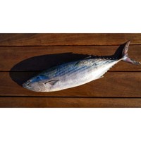 Atún congelado capturado en estado salvaje, sabor fresco y larga vida útil para compradores internacionales