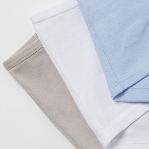 Sous-vêtements brodés de haute qualité pour femmes, pour imprimé taille basse, grande taille, séchage rapide, triangle, culotte sans couture pour femmes - Product Image 6