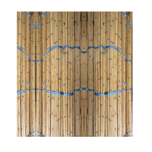 Rotin naturel brut Mantang de Singapour 18/23 mm 24/27 mm 28/32 mm 33 mm 3 m 4 m pour meubles et artisanat Marque CH GLOBAL - Product Image 3