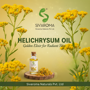 Huile d'hélichryse pure, huile essentielle, qualité professionnelle, qualité commerciale, formulation industrielle en vrac pour les entreprises - Product Image 2