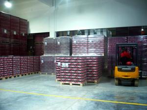 Premium Quality Hell Energy Drink Wholesale Offers with Fast Delivery Buy Now for the Perfect Refreshing Energy Drink - Product Image 5