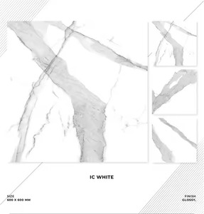 Azulejos de suelo de porcelana directa de fábrica India más vendidos 600x600MM acabado brillante uso Industrial azulejos de cerámica para suelo Interior - Product Image 1