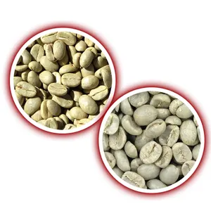 Premium Kwaliteit Arabica Kersenkoffiebonen Afgeleid Van De Vrucht Van De Arabica Koffieplant Smaakontwikkeling En Kwaliteit