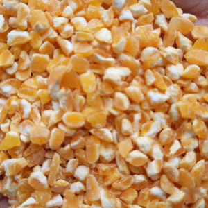 Harina de gluten de maíz seco dulce de grado alimenticio de maíz triturado amarillo de alta calidad para mazorcas de maíz animal y alimento para pájaros a precio asequible - Product Image 1