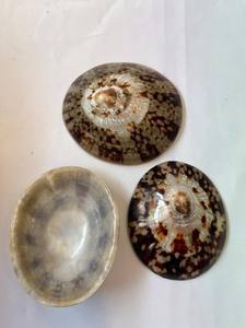 Carcasa de Lapa de grado superior con certificación orgánica para un estilo de vida humano saludable y decoración natural - Product Image 4