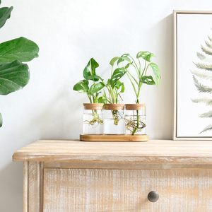 Terrarium <span class=keywords><strong>de</strong></span> propagation des plantes, station <span class=keywords><strong>de</strong></span> plantation en verre <span class=keywords><strong>de</strong></span> bureau, vase en verre pour plantation aquatique avec couvercle et support en bois, décoration <span class=keywords><strong>de</strong></span> bureau, 3 pièces - Product Image 2