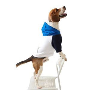 Sweat à capuche chaud pour chien 100% de haute qualité, doux et confortable pour les chiens pour les garder au chaud en toutes saisons, sweats à capuche pour chiens OEM - Product Image 4