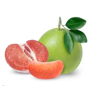 绿皮厚肉蜜柚新鲜柑橘水果柚子越南优质柚子价格便宜