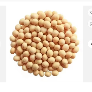 Soja Amarilla Seca Grado 1 y 2, Suministro a Granel de Alta Calidad con 24 Meses de Vida Útil para Cocinar y Procesar - Product Image 5