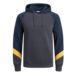 Sweat à capuche brodé de conceptions personnalisées de haute qualité pour hommes pull unisexe à manches longues sweat à capuche graphique sweat à capuche en coton - Product Image 1