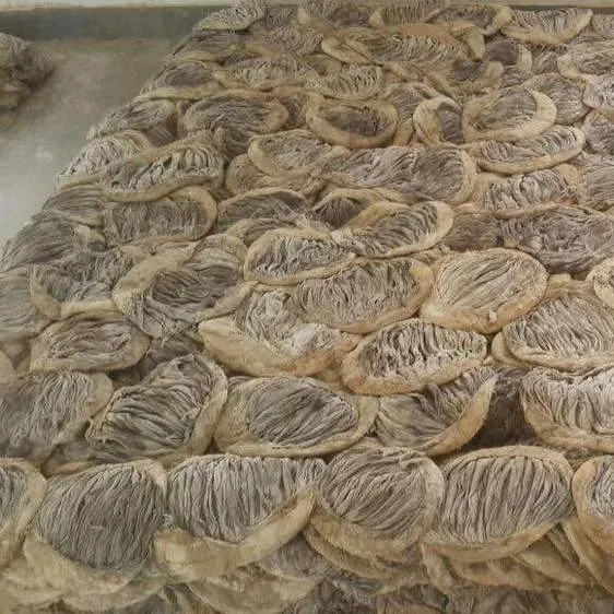 Dry Salted Beef Omasum for Export