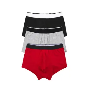 Sous-vêtements unis pour hommes, personnalisés OEM, 3 Pack, troncs en coton classiques, Boxer avec Logo personnalisé