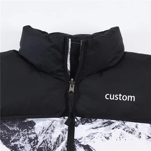 Blouson d'hiver pour homme à col montant, imperméable, léger, chaud, écologique, toutes couleurs, logo frontal, faible MOQ, style urbain - Product Image 5