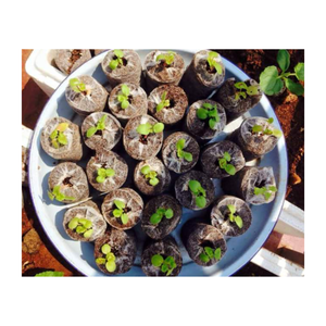 Meilleure qualité pour la culture de granulés de tourbe de coco en fibre de coco écologiques pour la décoration de jardin de jardinière au Vietnam prêt à vendre - Product Image 6