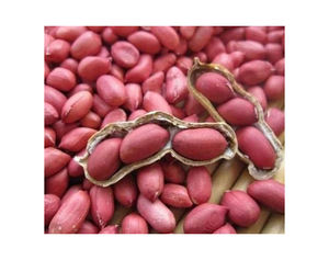 ถั่วลิสงคั่วเกรดพรีเมี่ยมธรรมชาติถั่วลิสงลวกแยกเลเซอร์แยกถั่วลิสงและเมล็ด - Product Image 1