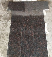Carreaux de granit brun poli, finition moderne, revêtement mural et sol intérieur, escaliers durables, meilleur prix, décoration Inde