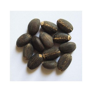 Prix de gros des graines de Jatropha de qualité supérieure Graines de Jatropha de haute qualité 100% Graines de Jatropha naturelles séchées à bas prix Offre Spéciale - Product Image 3