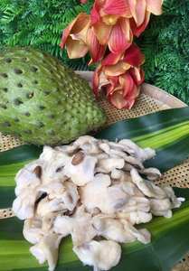 Aperitivo funcional nutritivo de Guanábana seca suave de superfruta tropical de Vietnam adecuado para consumidores conscientes de la salud en todo el mundo - Product Image 3