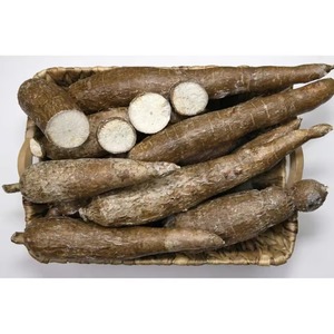 Cassava frais naturel en vrac de qualité supérieure avec haute teneur en amidon 100% parfait pour le traitement et la vente en gros directe - Product Image 2