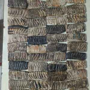 Meilleure plaque de corne de bœuf polie de qualité supérieure en gros, écologique, pour décoration intérieure et nautique - Product Image 2