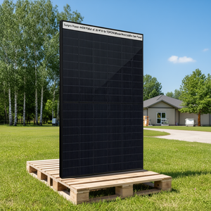 Panneau solaire monocristallin bifacial TOPCon Sunpro Power 440W, palette de 36 M10 - Product Image 3