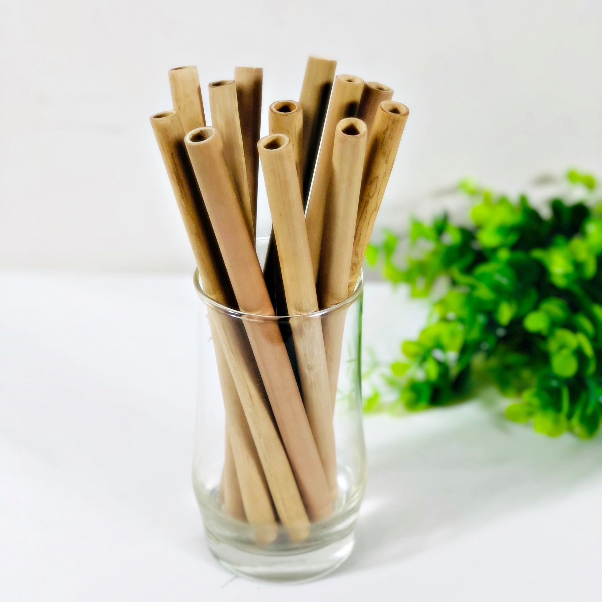 ธรรมชาติ