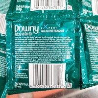 Deterjen Cair Down-y Ramah Lingkungan 19ml Harga Terbaik untuk Pakaian Aroma Bunga Kemasan Kecil Praktis Pewangi Ruangan