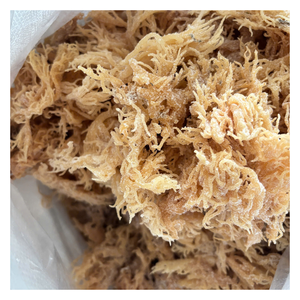 Algues Cottonii séchées de qualité supérieure-séchées au soleil, longs brins, emballées en balles, commande en gros disponible - Product Image 1