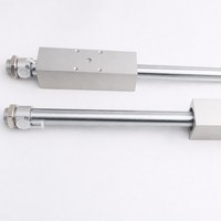 Unité de commande linéaire FESTO, cylindre DGO-16-20/25/32/40-300-400-500-600-PPV-A-B DGO