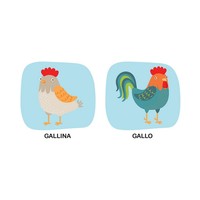 Juguetes Educativos de Espuma EVA Suave Estilo Edicart, Libro de Palabras para el Día a Día, Juguetes Chirriantes Coloridos para el Aprendizaje Infantil, 2 Artículos, 0+8 Páginas, Hecho en Italia