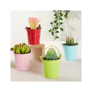 Nouvelle forme décoration de jardin Mini taille seau seau en métal galvanisé extérieur meilleur pot de plantes seau par Falah International - Product Image 6