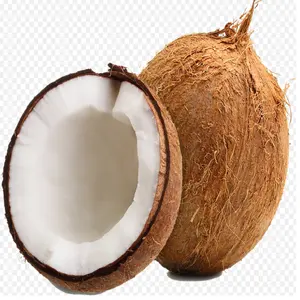 Desiccated Coconut medium grade Size 5 6mm Ingredient 100% pure coconut natural/ Natural AGRICULTURE Brand