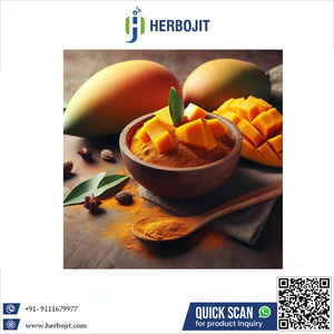 Poudre de jus de mangue séchée par pulvérisation, la plus populaire, toute nouvelle, 100 % naturelle, sans additifs, fabriquée en Inde, prix de gros - Product Image 6