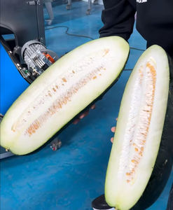 Máquina Cortadora de Frutas y Verduras de Alta Frecuencia Somaton, Motor de Acero Inoxidable 304, 380V 1800W, Alto Rendimiento, Capacidad de 1000-4000KG/H - Product Image 4