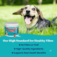 Complément de Canneberge en Granulés pour Chiens et Chats - Riche en Protéines, Absorption Rapide, Contrôle de la Vessie, Soutien des Voies Urinaires, D-Mannose, Vitamines
